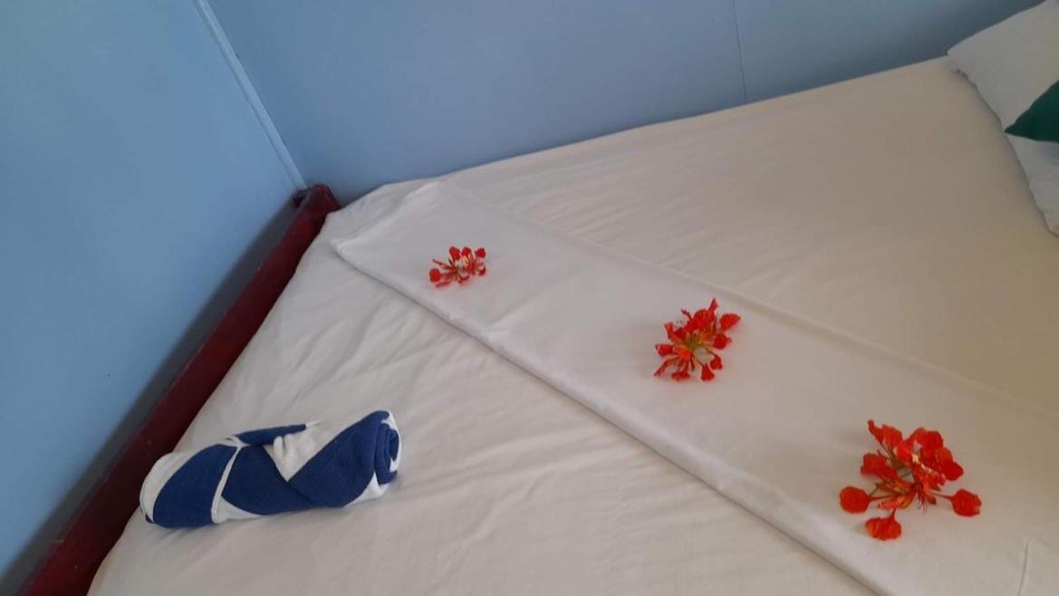 Mana Lagoon Backpackers Villa Bagian luar foto
